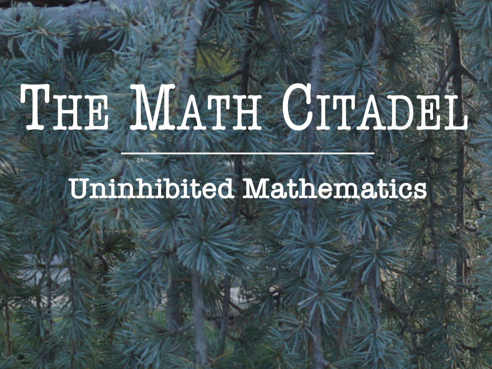 Welcome to The Math Citadel